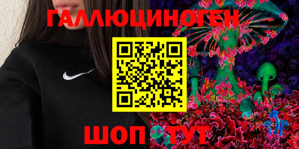 Псилоцибиновые грибы Cubensis Вязьма