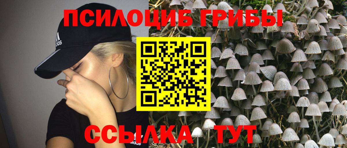 Вязьма  купить   Вход с VPN  Галлюциногенные грибы ЛСД 