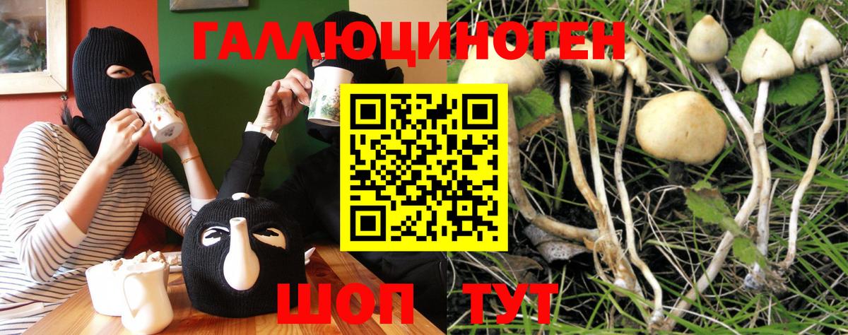 ГАШ Вязьма